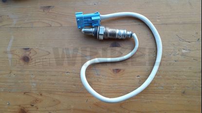 Bild von Sauerstoffsonde