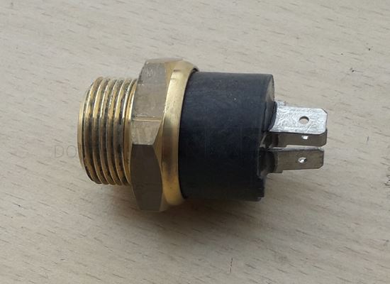 Bild von Thermoschalter