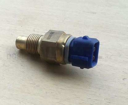 Bild von Wassertemperatur Sensor