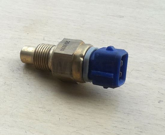 Bild von Wassertemperatur Sensor