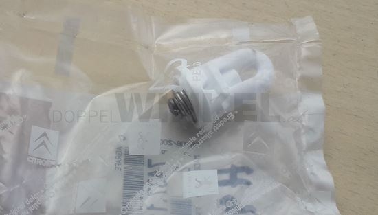 Bild von Zierleistenbefestigung