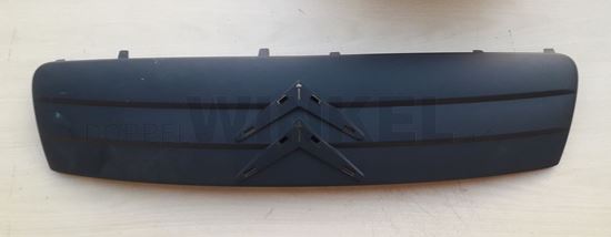 Bild von Kühlergrill