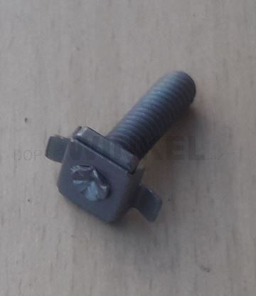 Bild von Kastenschraube