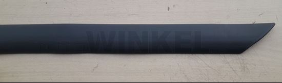 Bild von ZIerleiste an Türe links hinten