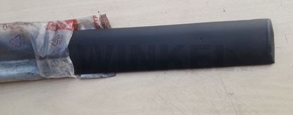 Bild von ZIerleiste an Türe links hinten