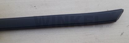 Bild von ZIerleiste an Türe links hinten