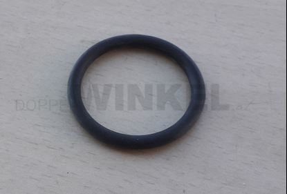 Bild von Ringdichtung bei der Wasserpumpe
