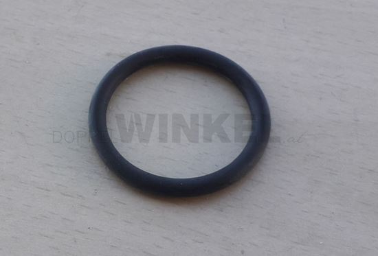 Bild von Ringdichtung bei der Wasserpumpe