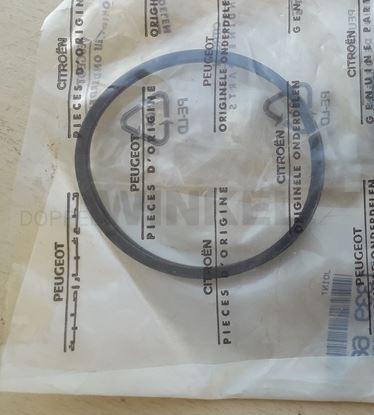 Bild von Thermostat - Dichtung